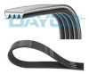 BMW 32427791786 V-Ribbed Belts